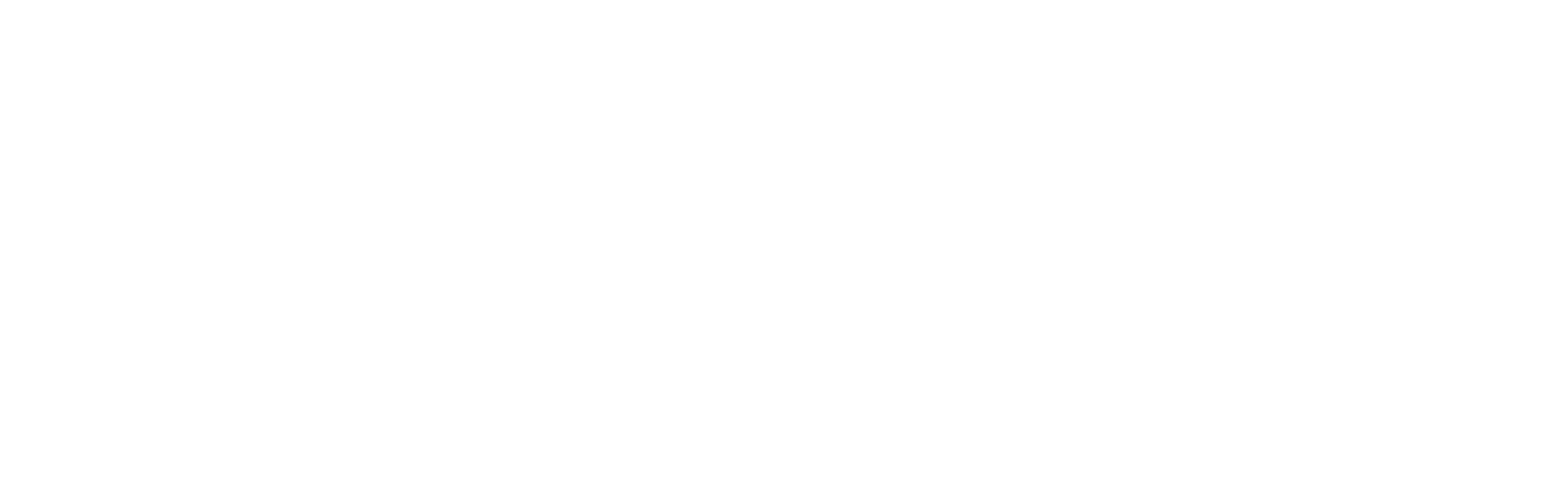 Mobile Life